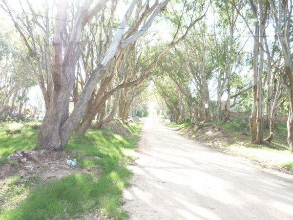 Terreno en Balneario Buenos Aires